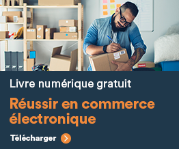 Livre numérique gratuit: réussir en commerce électronique Livre numérique gratuit: réussir en commerce électronique