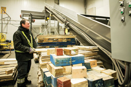 An Industrie de Palettes Standard (IPS) employee working in the factory