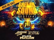Concert ticket sale poster