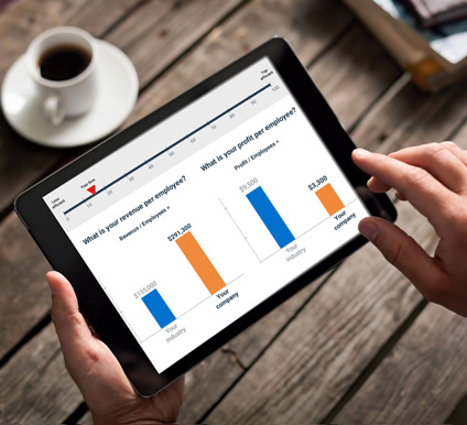 Business productivity benchmarking tool