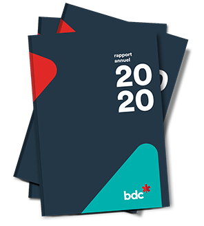 Rapport annuel
