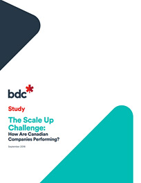study-scale study-scale