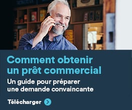 Livre numérique: Comment obtenir un prêt commercial Livre numérique: Comment obtenir un prêt commercial