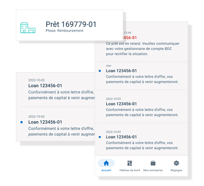 Screenshot about repayment phase loan from BDC app
