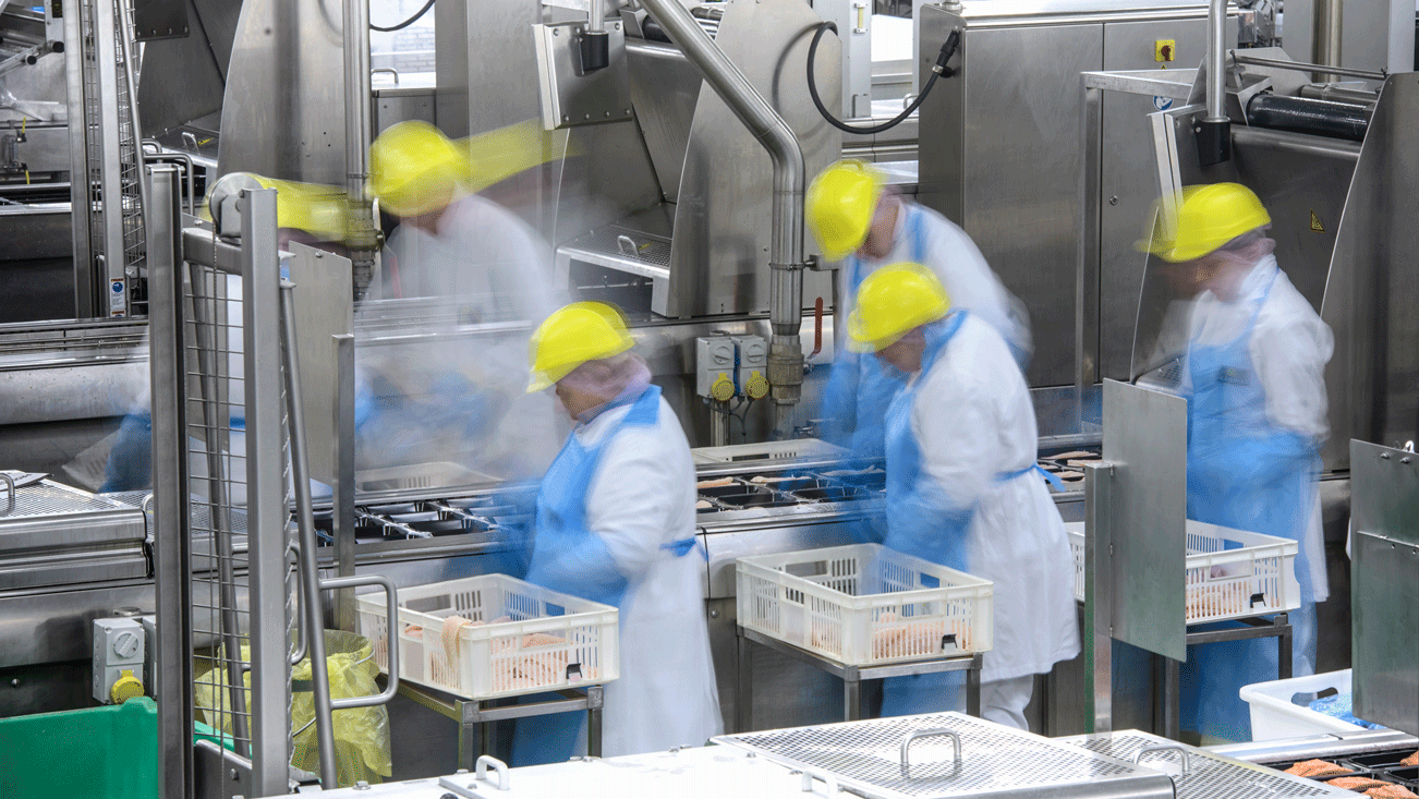 People wearing blue outfit with yellow helmets working in a food chain