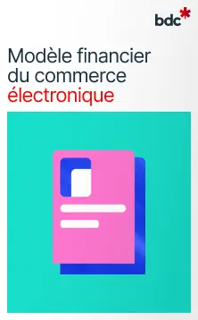 Illustration d'un document aux couleurs vives avec le texte Modèle financier du commerce électronique