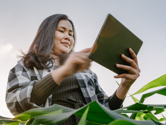 femme dans un champ avec un ipad