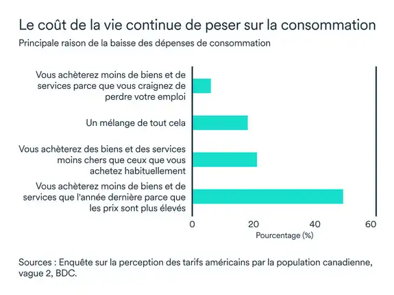 Graphique MEL mai 2025: Principale raison de la baisse des dépenses de consommation