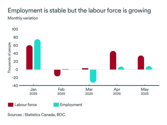 MEL June 2025 graph: Employment