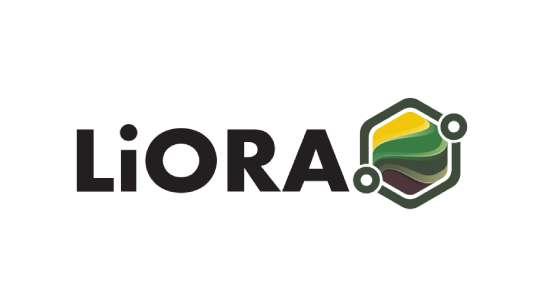 liora logo color